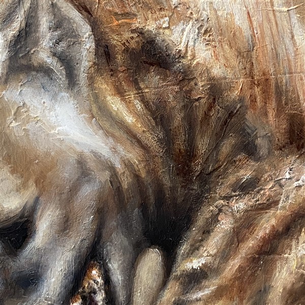 hyenastudy Detail 1 (600 x 600)